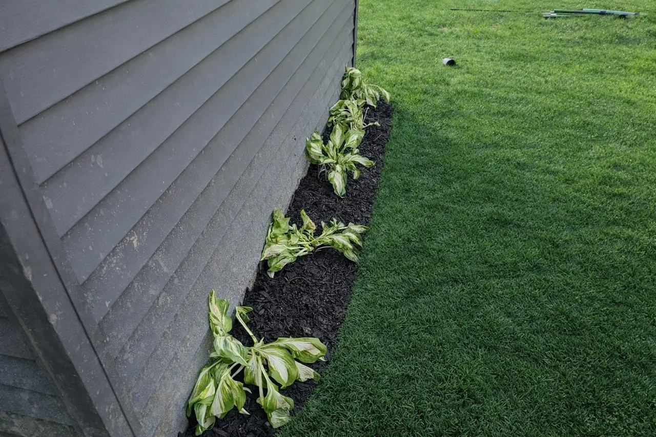 Flower Bed Installation
